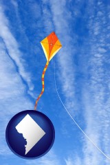 washington-dc flying a kite