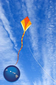flying a kite - with Hawaii icon